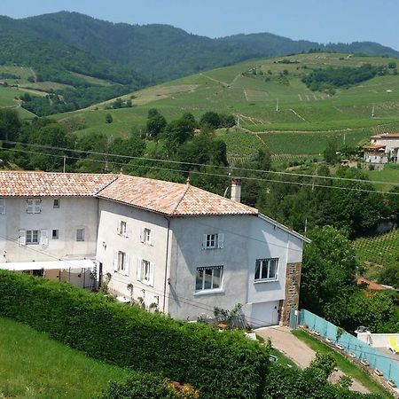 Les Picorettes Vaux-en-Beaujolais Esterno foto